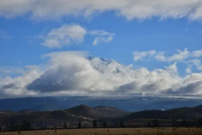 DSC_5884 (Large).JPG